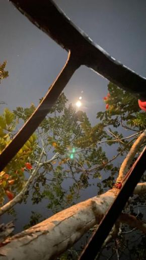 Kokamah selva ecologi